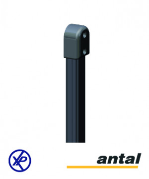 FB29 - BUTÉE SIMPLE