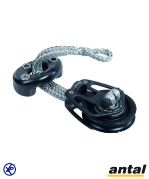 POULIE DOUBLE LOOPER Ø70 A RINGOT AVEC LOOP