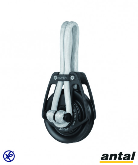 POULIE SIMPLE LOOPER Ø120 AVEC LOOP