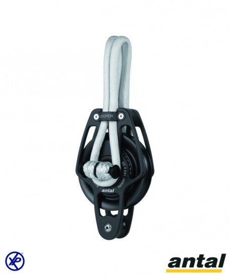 POULIE SIMPLE LOOPER Ø140 A RINGOT AVEC LOOP