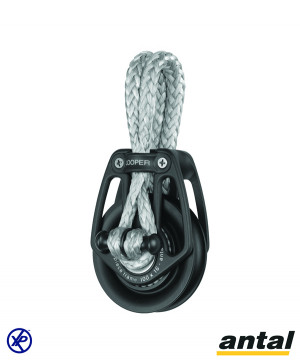 POULIE SIMPLE LOOPER Ø100 AVEC LOOP AVEC RÉA À ROULEAUX