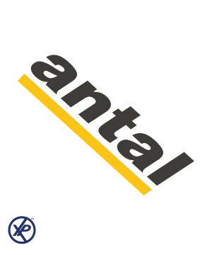 MANIVELLE ALU BALL-GRIP 250MM