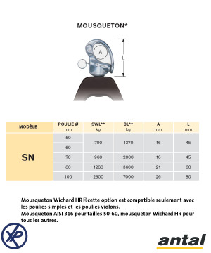 POULIE OPF DOUBLE 50MM