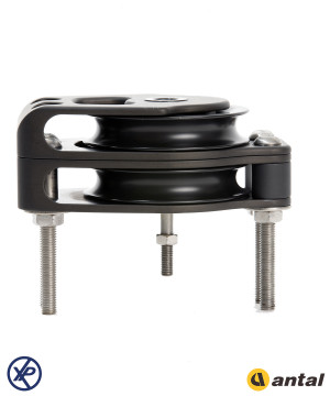 POULIE OPF DOUBLE PLAT-PONT 100MM